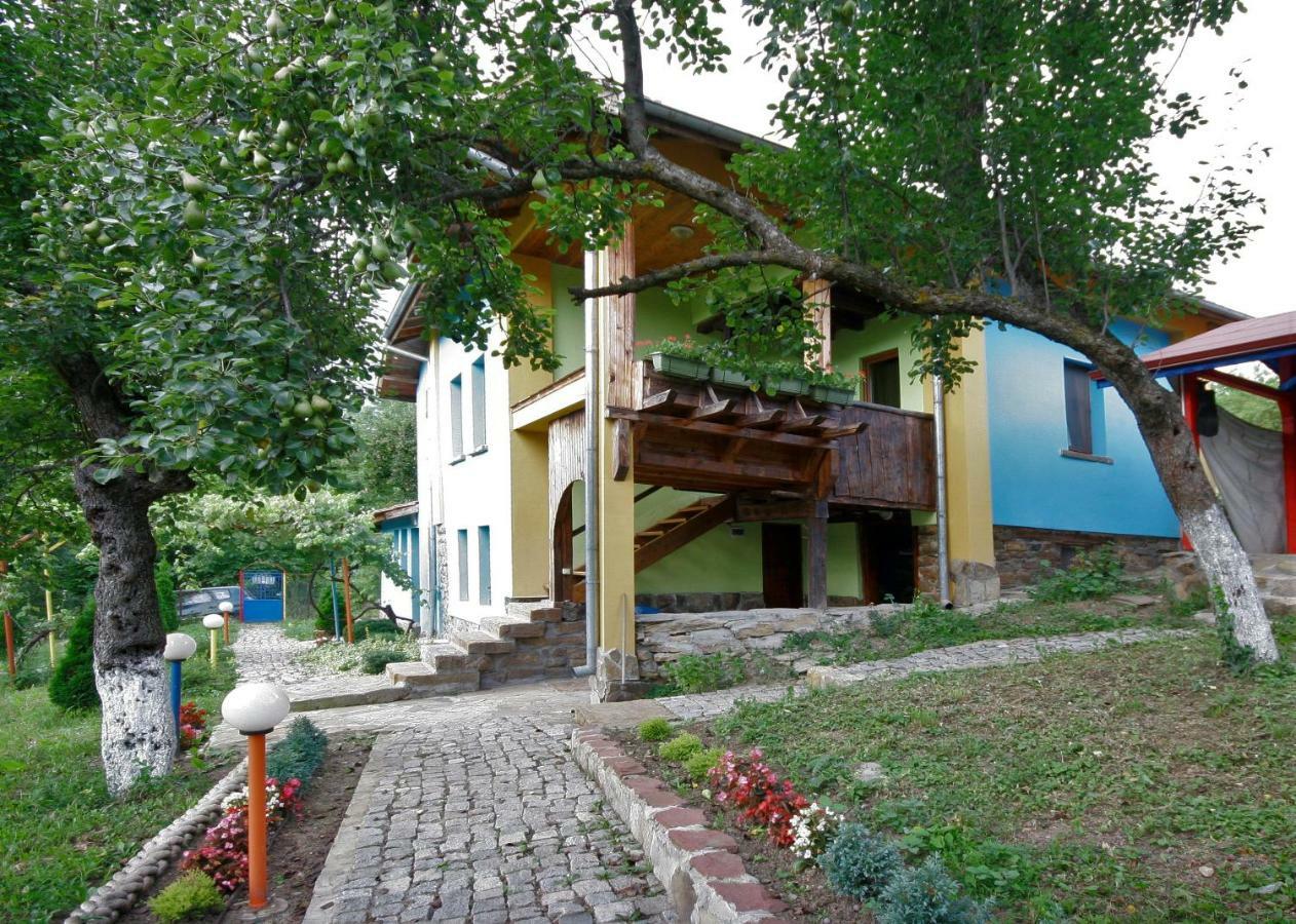 Chuchi Guest House 1 Zlatna Panega Exterior foto